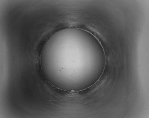 X0000101671447200807171325