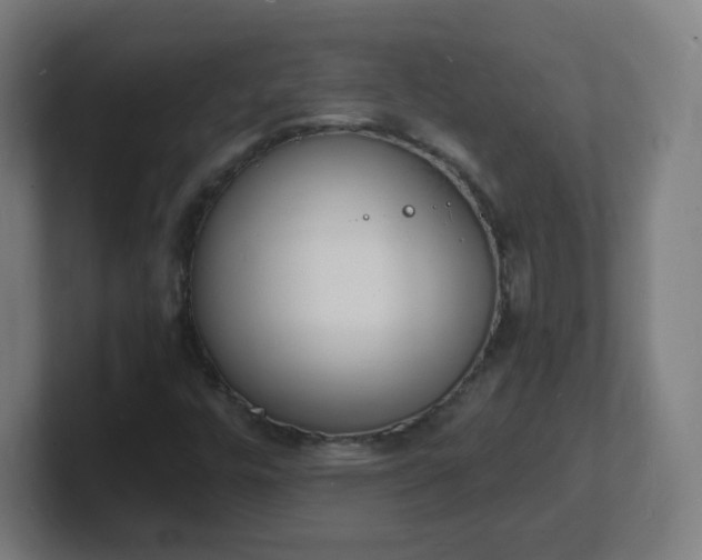 X0000101671448200807171325