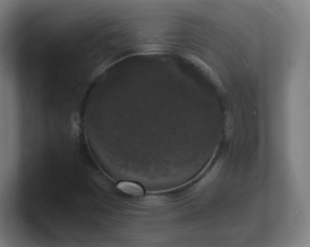X0000101671449200807171325