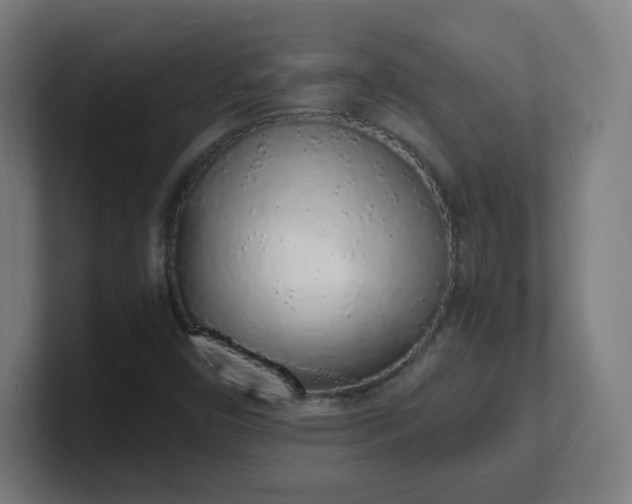 X0000101671450200807171325