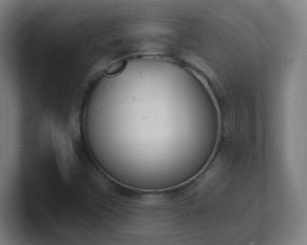 X0000101671451200807171325