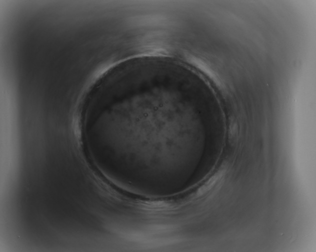 X0000101671455200807171325