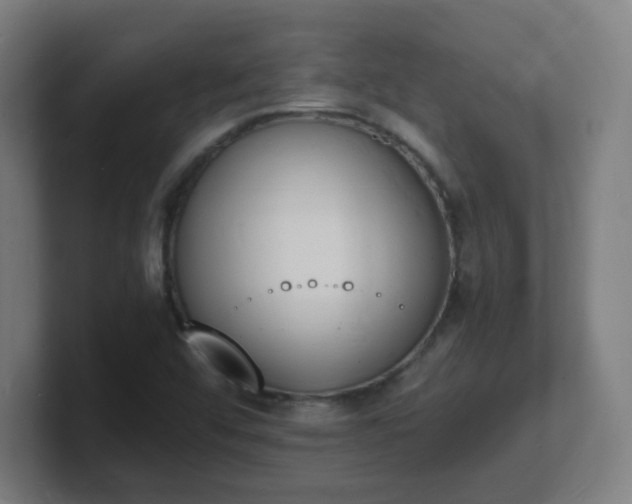 X0000101671456200807171325