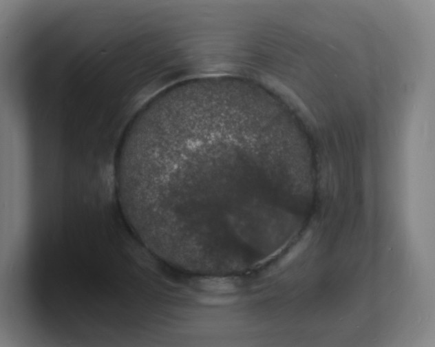 X0000101671457200807171325