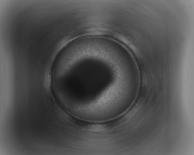 X0000101671459200807171325