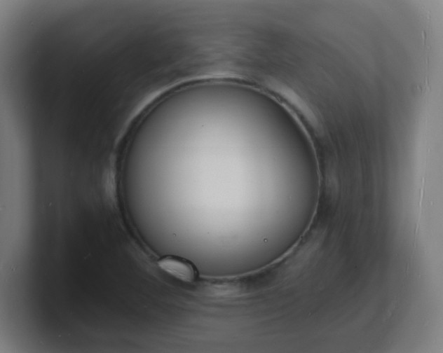 X0000101671460200807171325