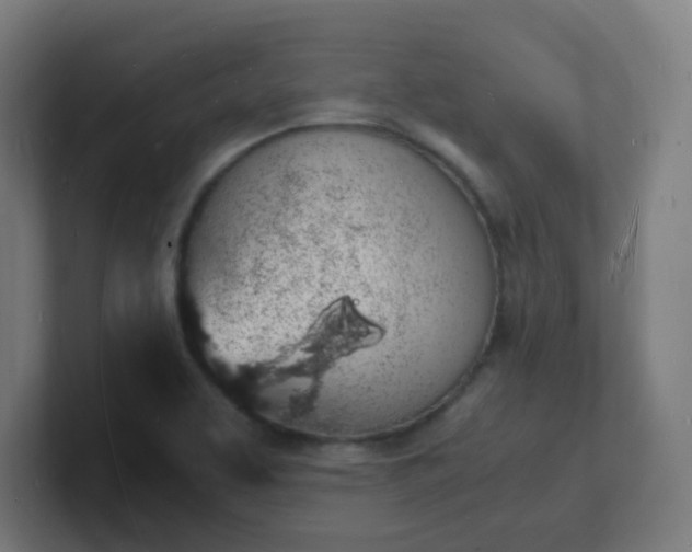 X0000101671463200807171325