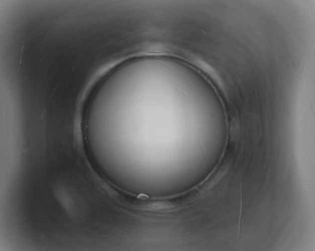 X0000101671464200807171325