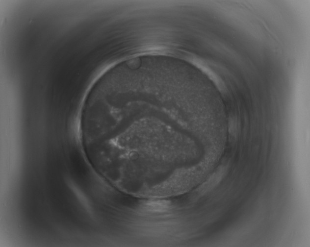 X0000101671466200807171325