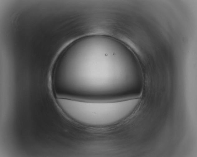 X0000101671468200807171325