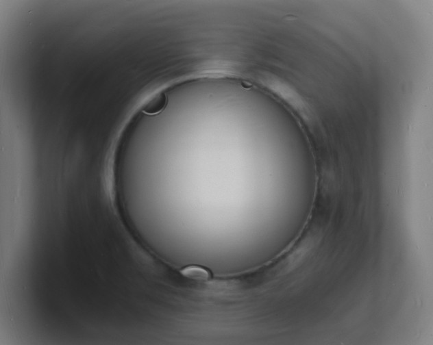 X0000101671469200807171325