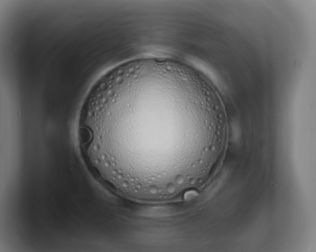 X0000101671471200807171325