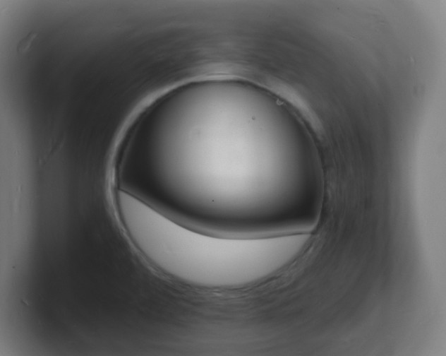 X0000101671472200807171325