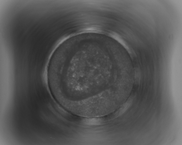 X0000101671474200807171325