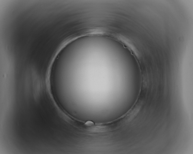 X0000101671475200807171325