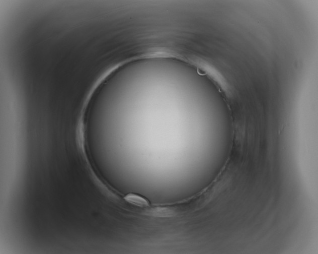 X0000101671476200807171325