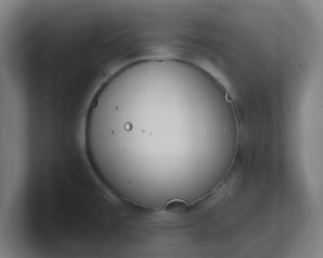 X0000101671477200807171325