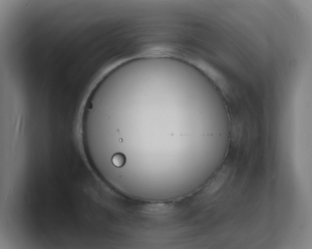 X0000101671478200807171325