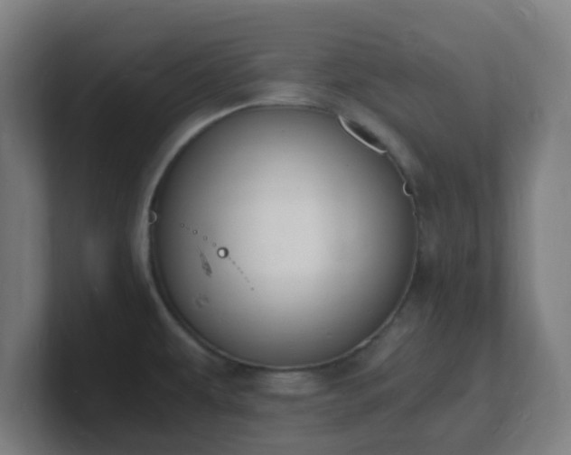 X0000101671479200807171325