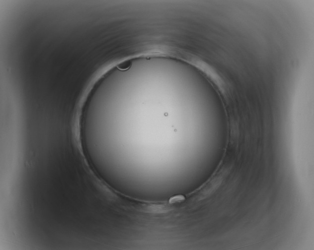 X0000101671480200807171325