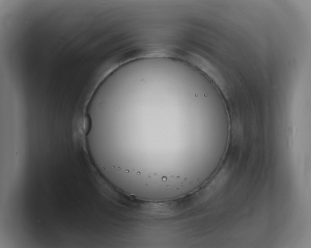 X0000101671481200807171325
