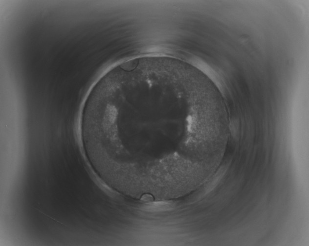 X0000101671482200807171325