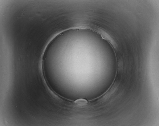 X0000101671484200807171325