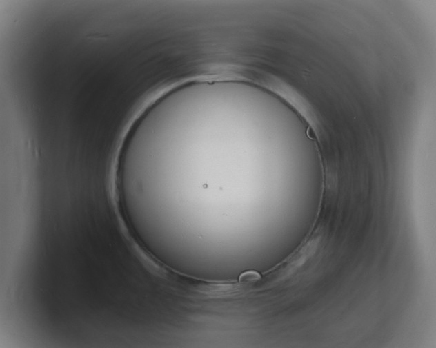 X0000101671485200807171325
