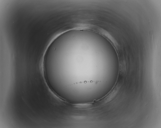 X0000101671487200807171325