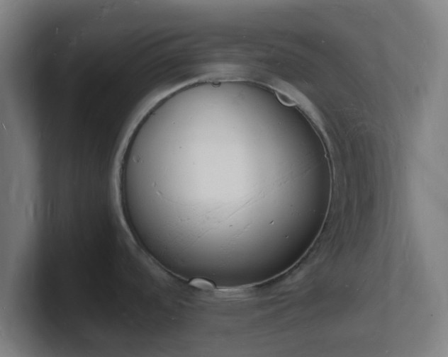 X0000101671488200807171325