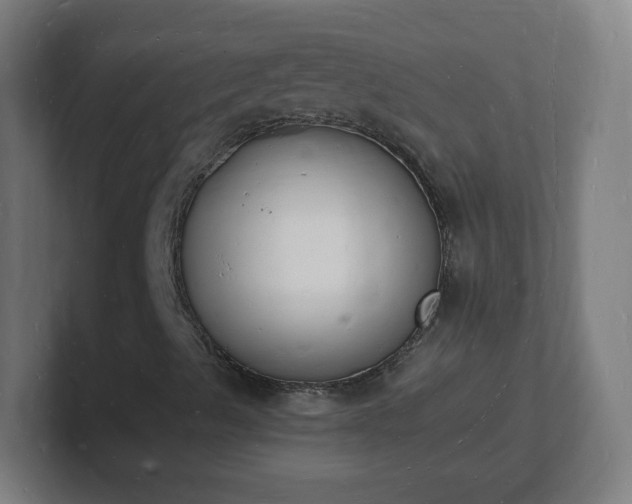 X0000101671489200807171324