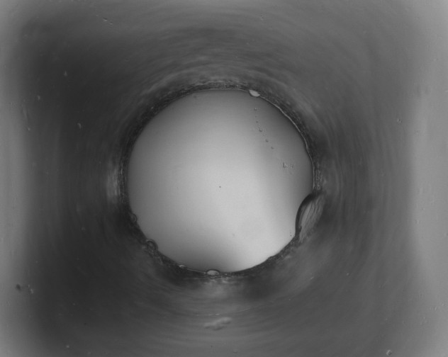 X0000101671490200807171324