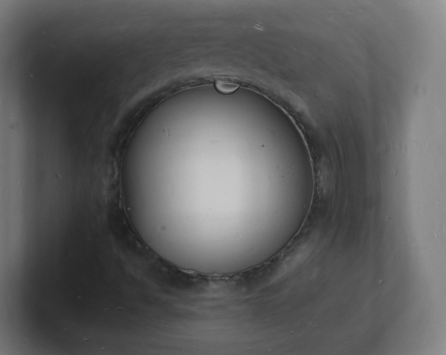 X0000101671494200807171324
