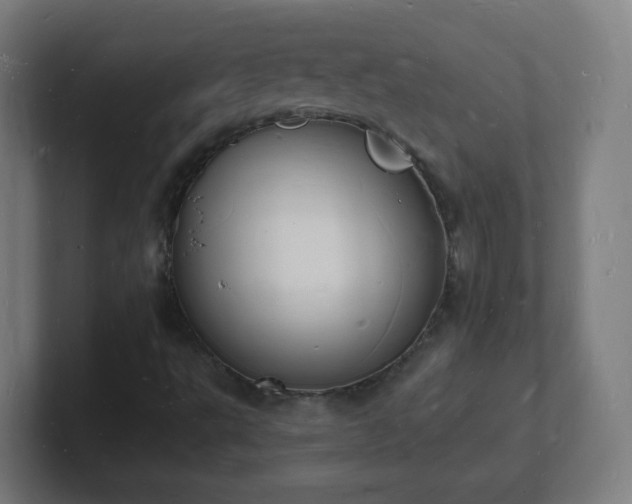 X0000101671495200807171324