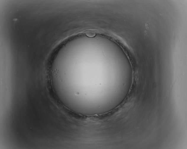 X0000101671496200807171324