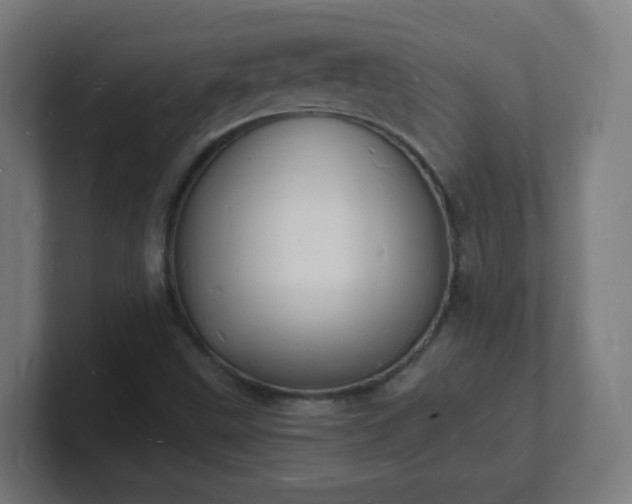 X0000101671499200807171324