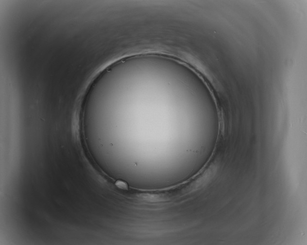 X0000101671500200807171324