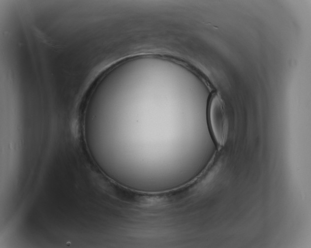 X0000101671501200807171324