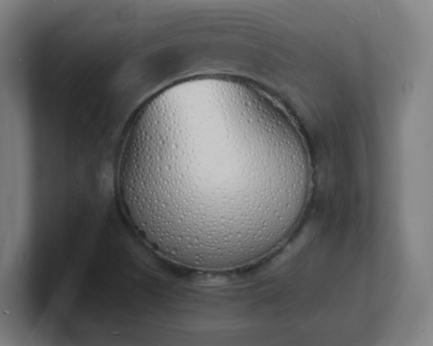 X0000101671505200807171324