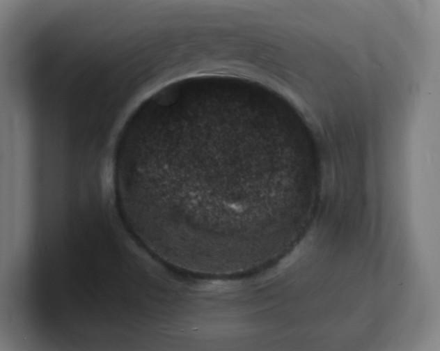X0000101671506200807171324