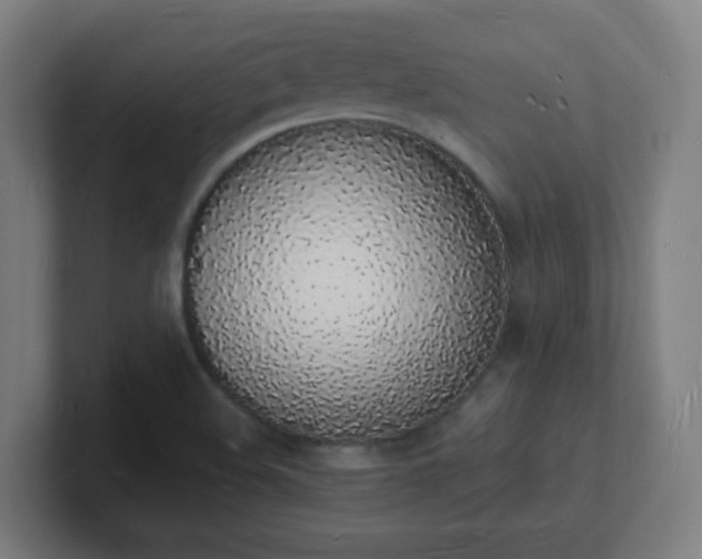 X0000101671508200807171324