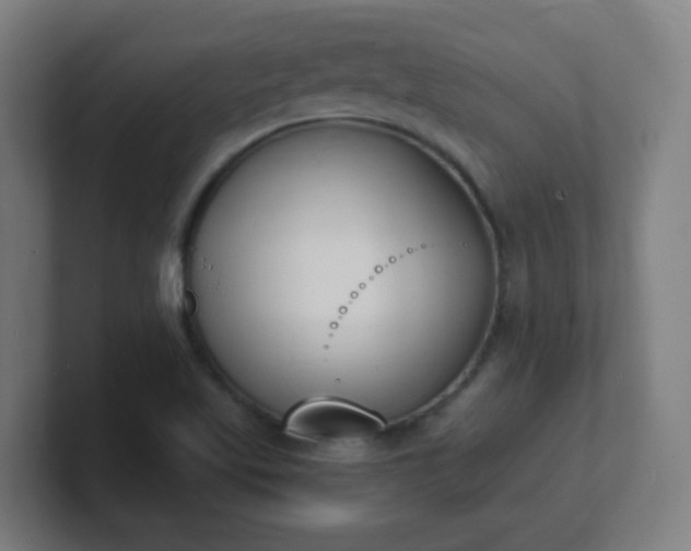X0000101671509200807171324