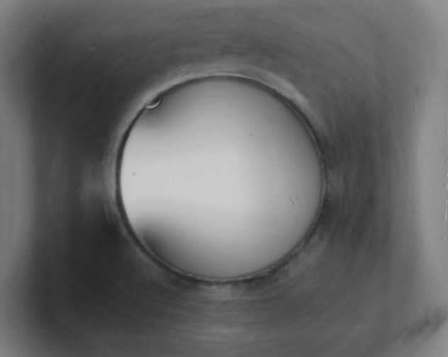 X0000101671512200807171324
