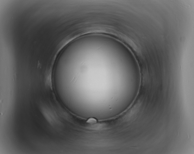 X0000101671513200807171324