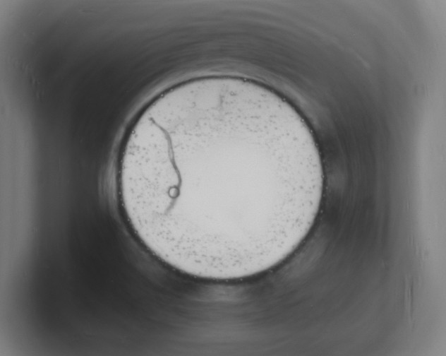 X0000101671514200807171324
