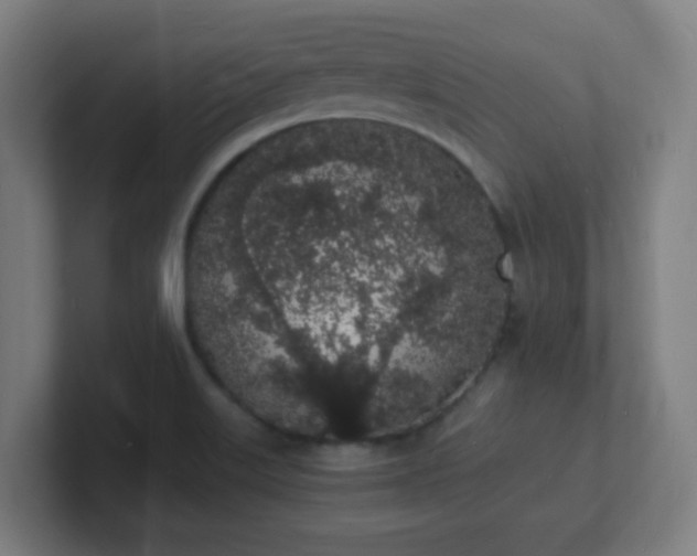 X0000101671515200807171325