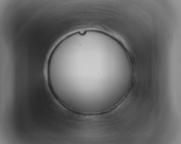 X0000101671516200807171325
