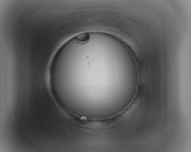 X0000101671517200807171325
