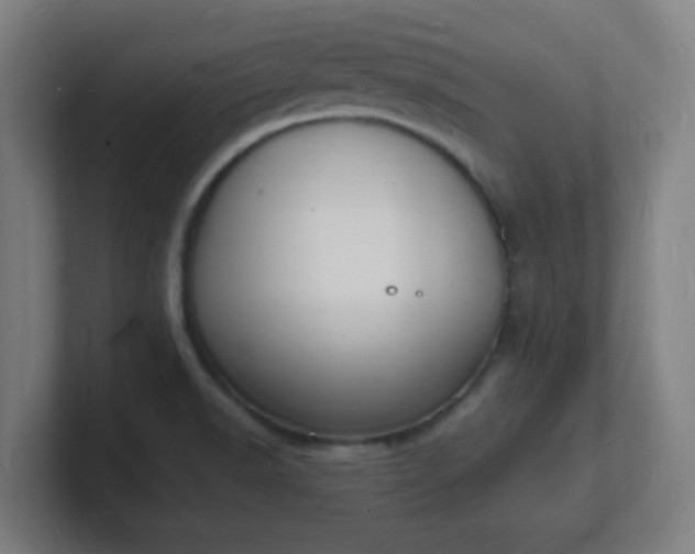 X0000101671518200807171325