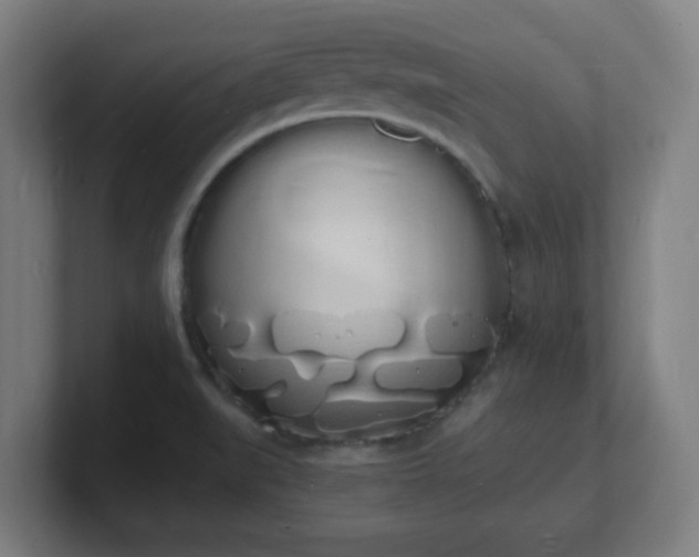 X0000101671519200807171325